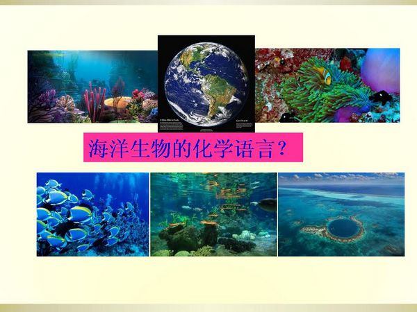 生物信息傳遞的化學語言3.jpg 生物信息傳遞的化學語言3.jpg